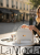 Photoroom_20260217_160852.png