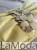 IMG_8124.jpeg